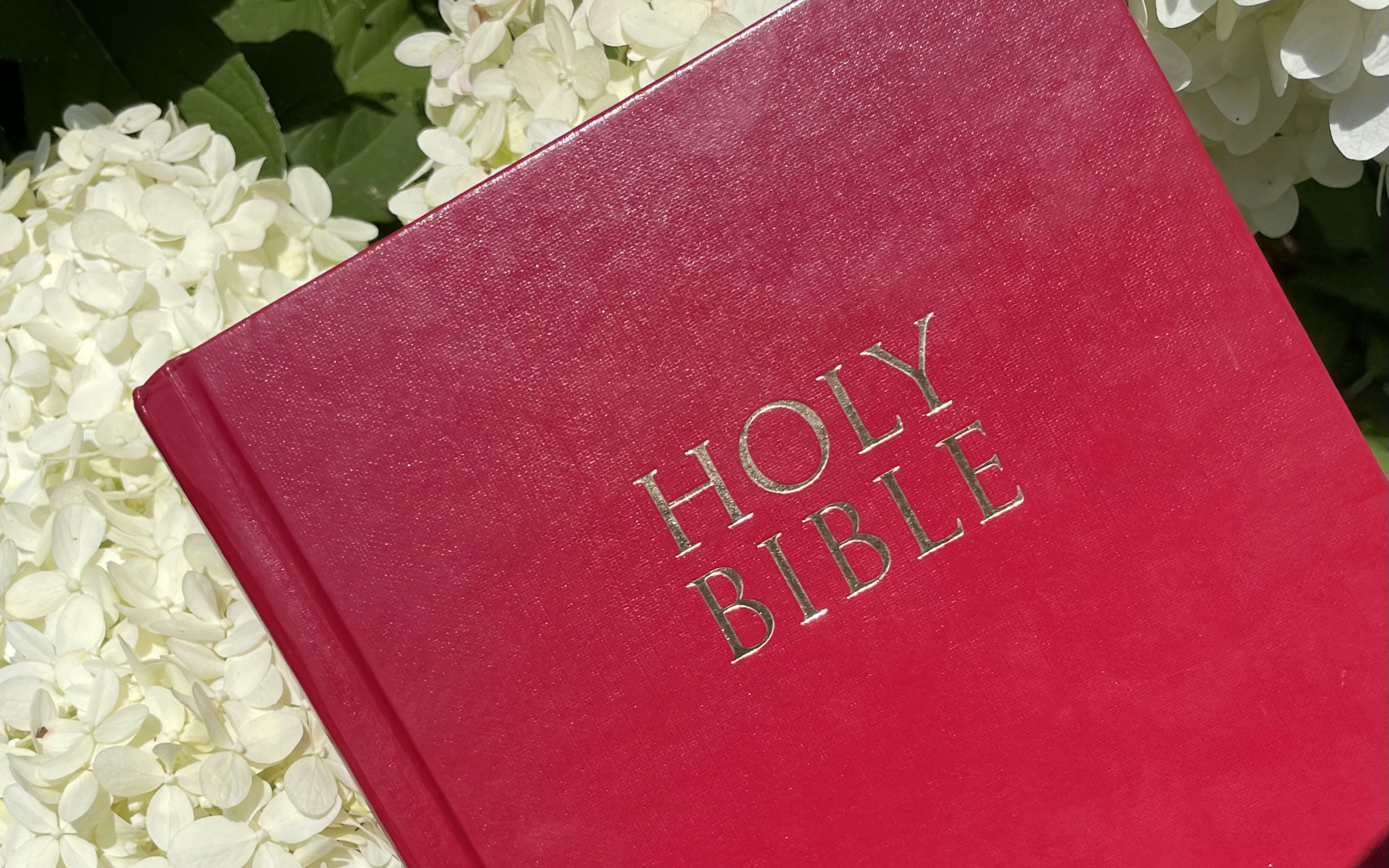 Bible.jpg